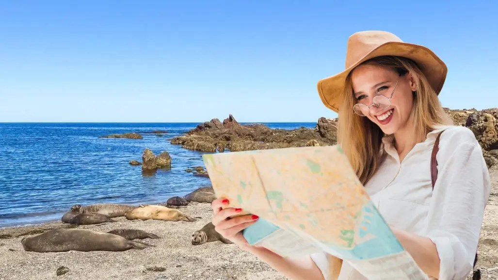 La carretera olvidada que lleva a Bahía Tortugas y playas vírgenes en Baja California Sur