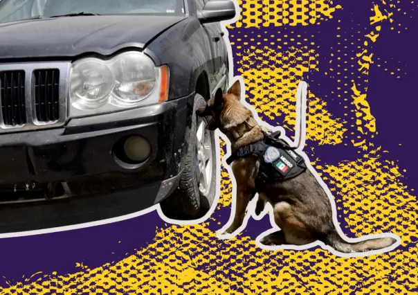 Los "agentes" que rastrean lo imposible: así opera el grupo élite K9 de la Fiscalía de Nuevo León
