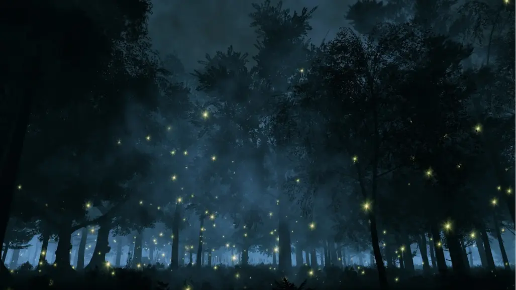 Descubre el oculto sendero de luciérnagas en CDMX con recorrido exclusivo en esta fecha especial
