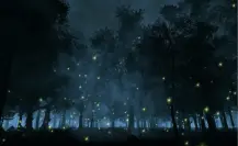 Descubre el oculto sendero de luciérnagas en CDMX con recorrido exclusivo en esta fecha especial