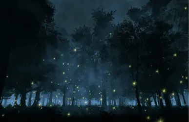 Descubre el oculto sendero de luciérnagas en CDMX con recorrido exclusivo en esta fecha especial