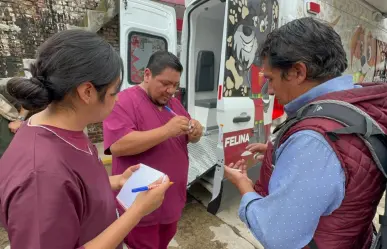 Inundaciones en Naucalpan ponen en riesgo salud de perros y gatos; mascotas sufren estrés y enfermedades