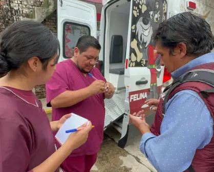 Inundaciones en Naucalpan ponen en riesgo salud de perros y gatos; mascotas sufren estrés y enfermedades