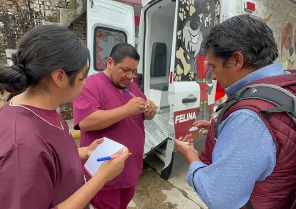 Inundaciones en Naucalpan ponen en riesgo salud de perros y gatos; mascotas sufren estrés y enfermedades