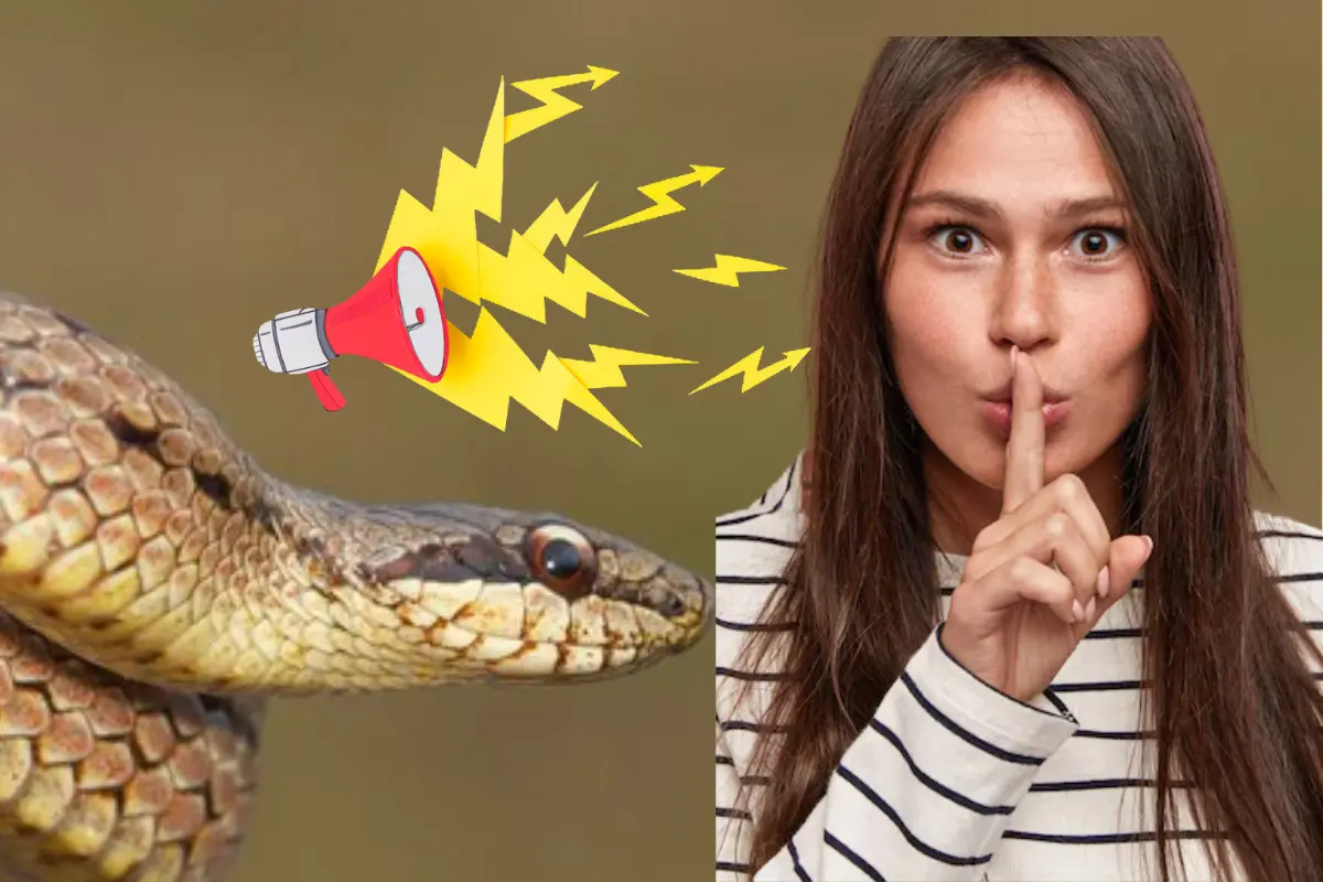 La serpiente de cascabel es uno de los animales nativos de Tamaulipas que emite un sonido de advertencia antes morderFREEPIK