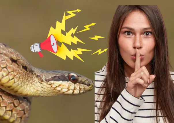 Este es el animal nativo que hace un sonido como advertencia antes de morder