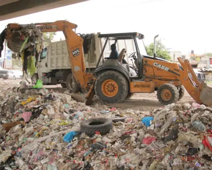 Multas de hasta 11 mil pesos por tirar basura en Edomex: ¿en qué municipios se aplican?