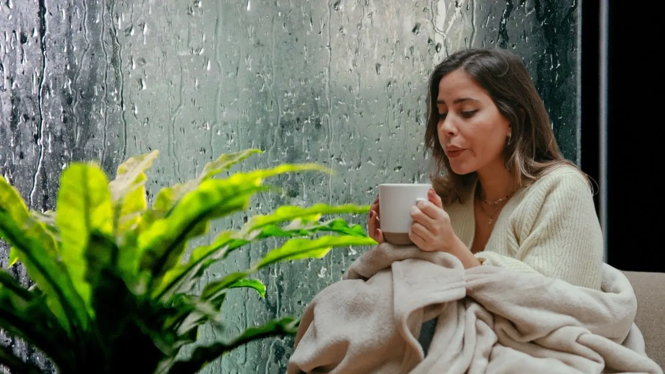¿Qué hacen los yucatecos cuando empieza la temporada de lluvias?. Foto: Canva