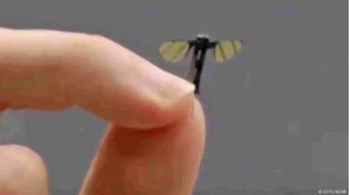 China desarrolla un minidrón del tamaño de un insecto. Foto: CCTV/SCMP