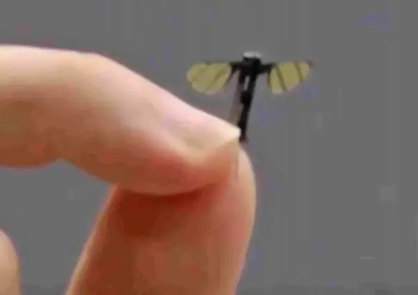 China desarrolla un minidron del tamaño de un insecto