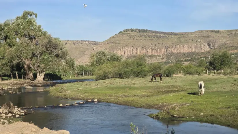 Paisajes espectaculares, fauna migratoria y de la región, ofrece Bayacora. Foto: Luis Lozano.