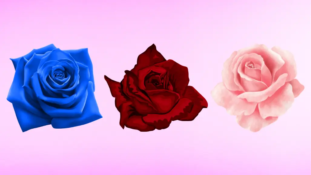 Elige solo una rosa y descubre cómo sería tu pareja ideal