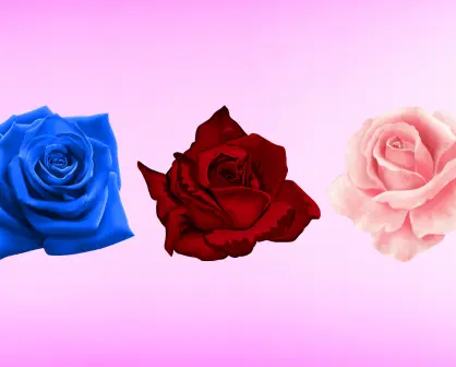 Elige solo una rosa y descubre cómo sería tu pareja ideal