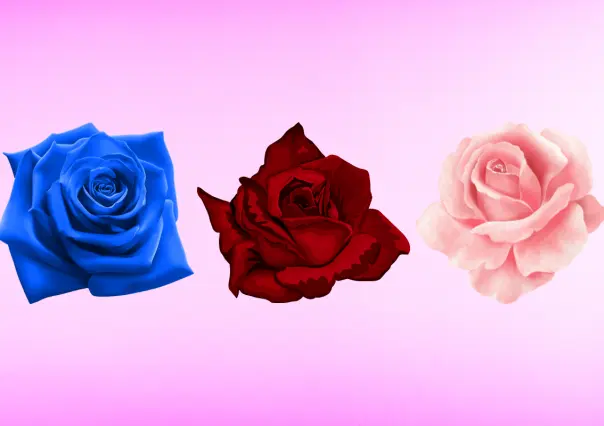 Elige solo una rosa y descubre cómo sería tu pareja ideal