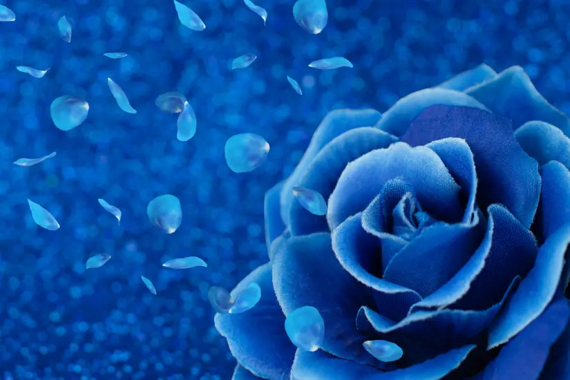 Participa en este divertido test y descubre quién podría ser tu pareja ideal seleccionando la rosa que más te llama. Foto: Canva