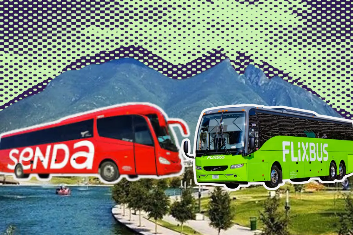 Las 2 son líneas de autobuses que ofrecen rutas clave, existen algunas diferencias que pueden o no definir la preferencia de los usuarios/Foto: POSTA
