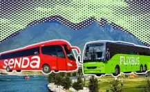 Flix vs Senda: 5 diferencias de las líneas de autobuses en Nuevo León
