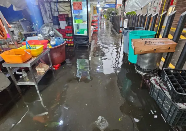 Comercios inundados por fuertes lluvias en Venustiano Carranza; vecinos exigen acciones inmediatas