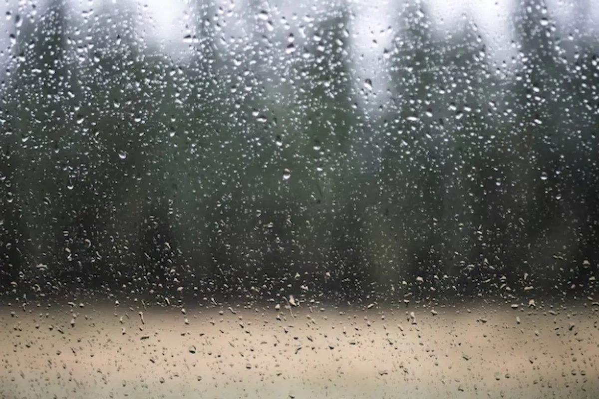 Las lluvias han bajado su intensidad pero se prevé que el fin de semana recobren fuerza. Foto: Freepik