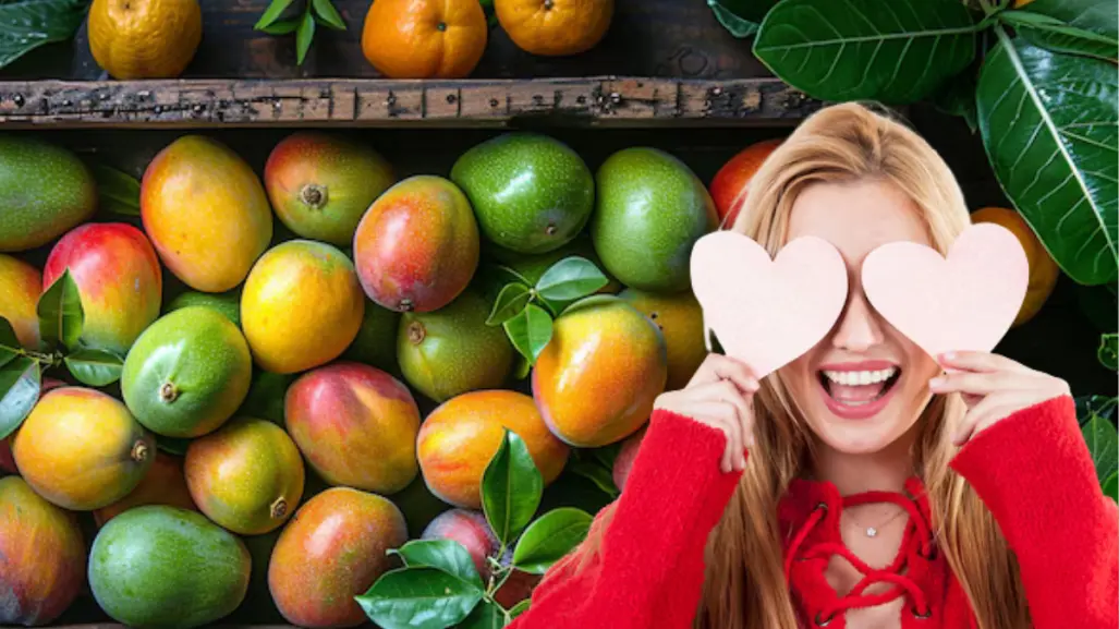 La mejor producción de mangos en Tamaulipas; se da en estos municipios
