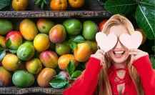 La mejor producción de mangos en Tamaulipas; se da en estos municipios