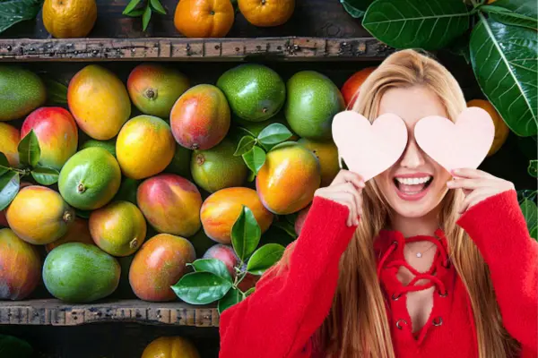 La mejor producción de mangos en Tamaulipas; se da en estos municipios