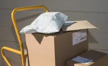 Paquetería del Edomex detecta arma de fuego oculta en un paquete