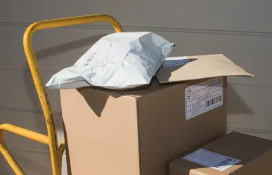 Paquetería del Edomex detecta arma de fuego oculta en un paquete