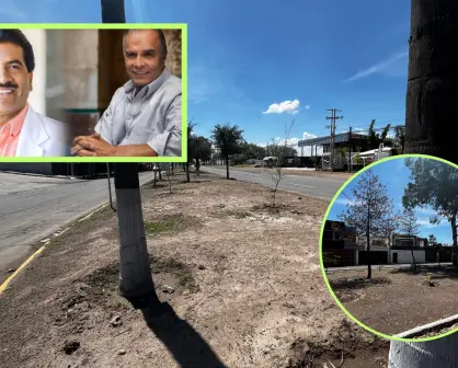 Esteban Villegas acusa a Jorge Salum y el Dr. Enríquez de un ecocidio contra las áreas verdes de Durango