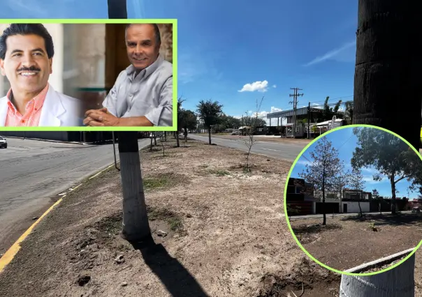 Esteban Villegas acusa a Jorge Salum y el Dr. Enríquez de un ecocidio contra las áreas verdes de Durango