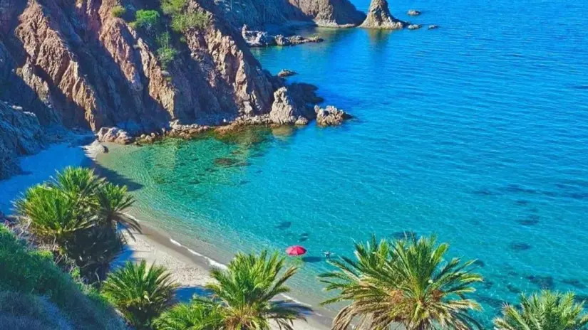 Es necesario establecer normas específicas para el uso de la playa. Foto: Facebook / Descubre Baja California Sur