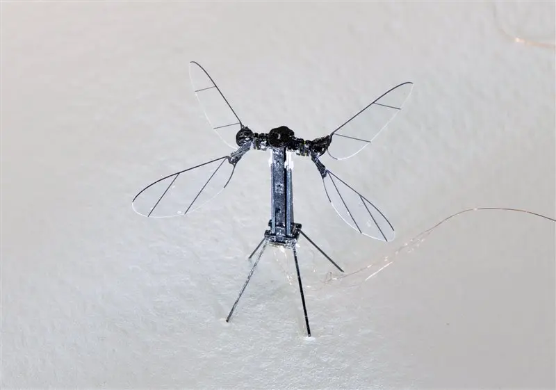 Foto: Harvard Microrobotics Laboratory
