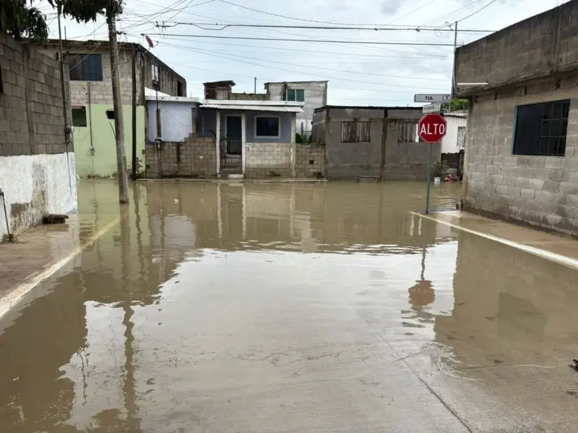 imagen recuadro
