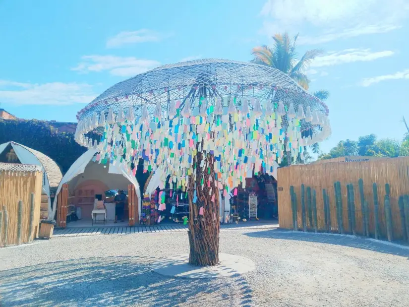 Foto: Que hacer en Los Cabos / Facebook.