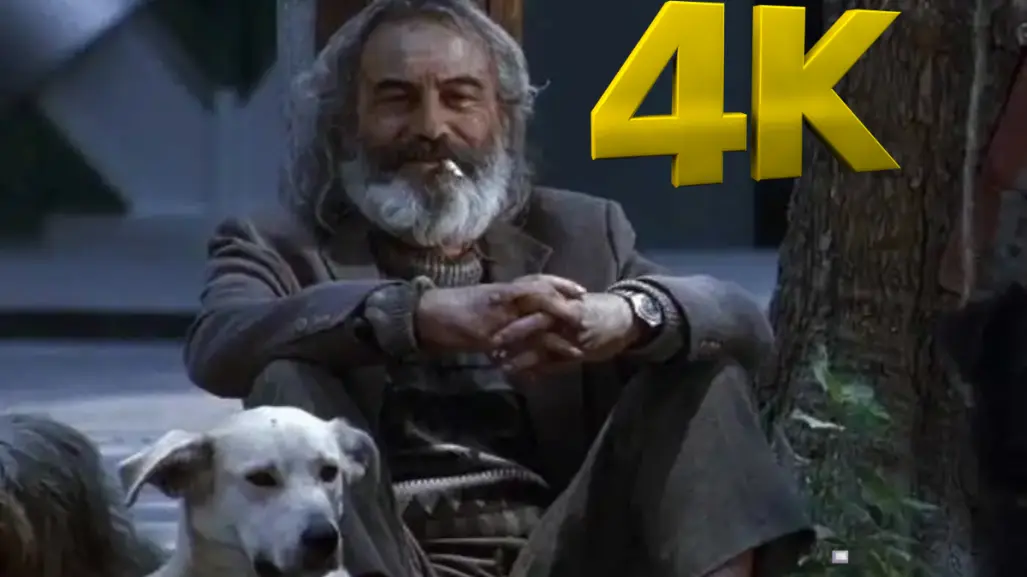 Amores Perros regresa en 4K y podrás verla en CDMX antes de su reestreno mundial