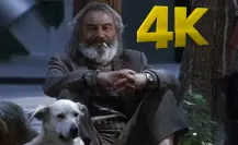 Amores Perros regresa en 4K y podrás verla en CDMX antes de su reestreno mundial