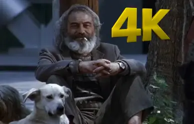 Amores Perros regresa en 4K y podrás verla en CDMX antes de su reestreno mundial