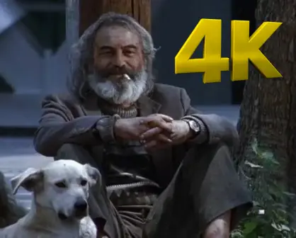 Amores Perros regresa en 4K y podrás verla en CDMX antes de su reestreno mundial