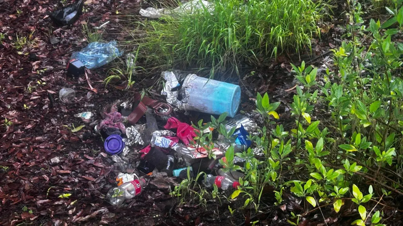 Aplican multas en Toluca por tirar basura y ya suman ocho personas detenidas. Foto: POSTA