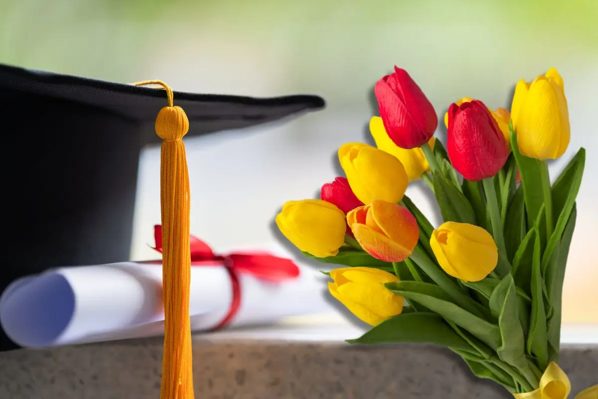 En estos lugares de Saltillo puedes conseguir arreglos de graduación que se adaptan a tus necesidades / Foto: Composición de Canva