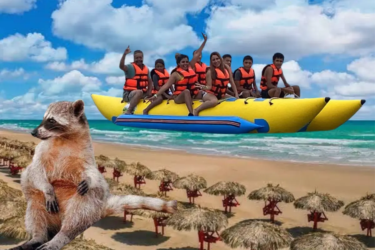 Subirse a la famosa banana es una de las experiencias que muchos turistas quieren vivir cuando vistan alguna playa y si visitas la de Miramar no te puedes quedar sin intentarloatracciones Charly