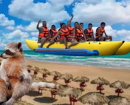 ¿Cuánto cuesta subirte a la banana en Playa Miramar?