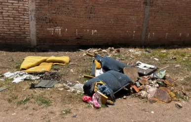 El gran culpable de las inundaciones en Durango es este, ¿lo sabías?