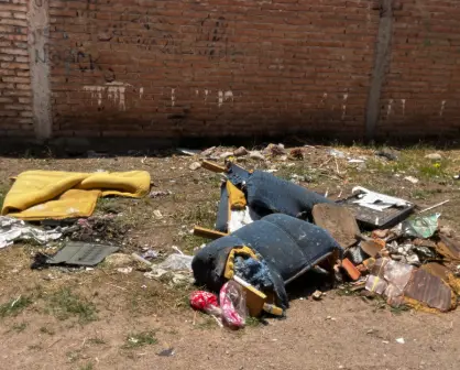 El gran culpable de las inundaciones en Durango es este, ¿lo sabías?