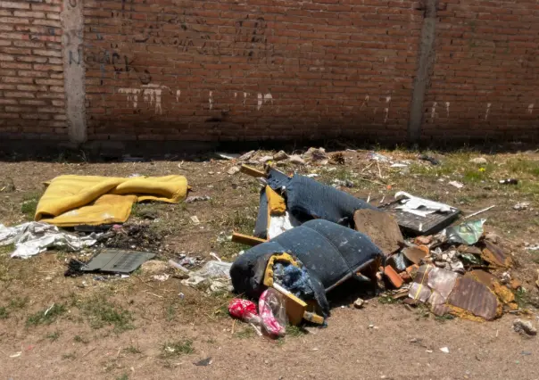 El gran culpable de las inundaciones en Durango es este, ¿lo sabías?