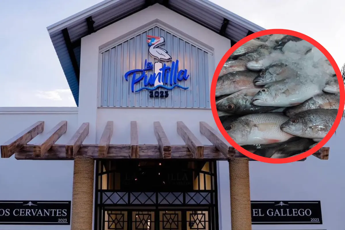 El mercado de mariscos la Puntilla ubicado en Tampico se encuentra dentro de la competencia a nivel nacional con las mejores marisquerías de MéxicoLa Puntilla