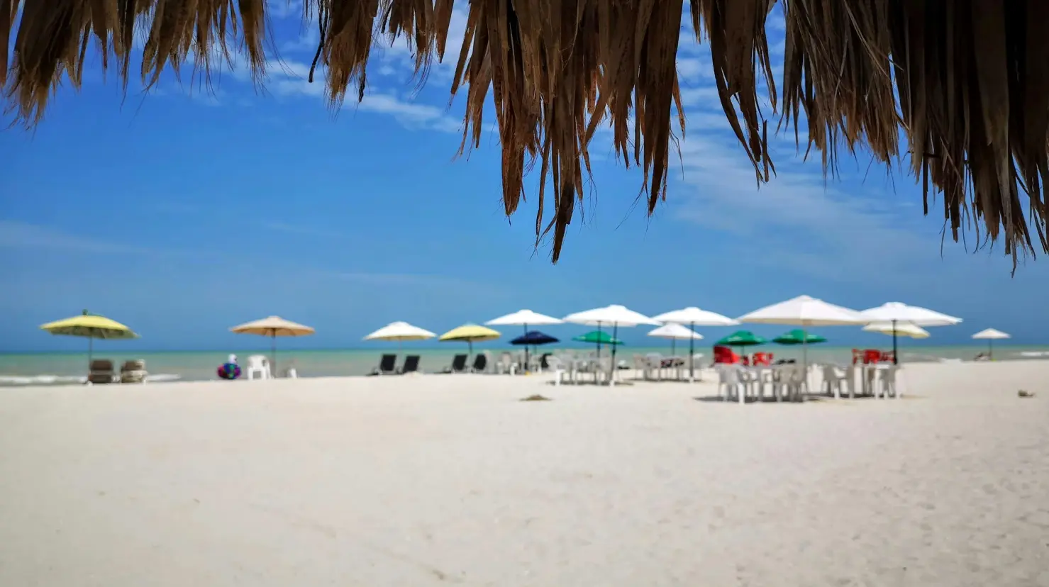 ¿Qué sectores esperan mayores ganancias durante las vacaciones?. Foto: Unsplash