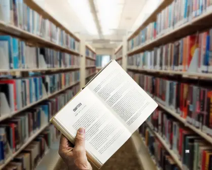 Librerías para niños en CDMX: el plan perfecto para estas vacaciones de verano
