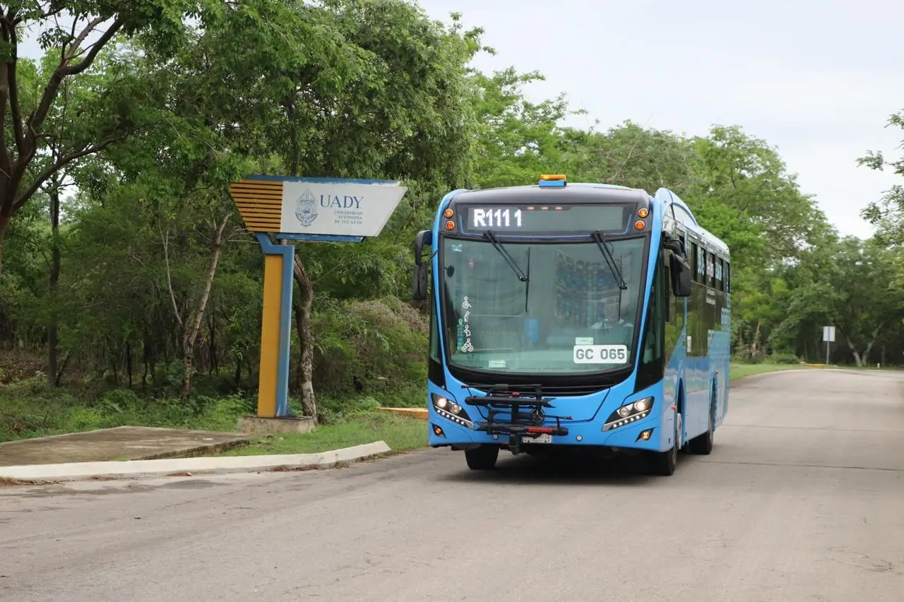 ¿Qué beneficios ofrece la nueva Ruta 49 hacia Xcuyun? Foto: Cortesía