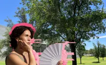 Ola de calor: ¿hasta cuánto puede bajar la temperatura tener un árbol en verano en Nuevo León?